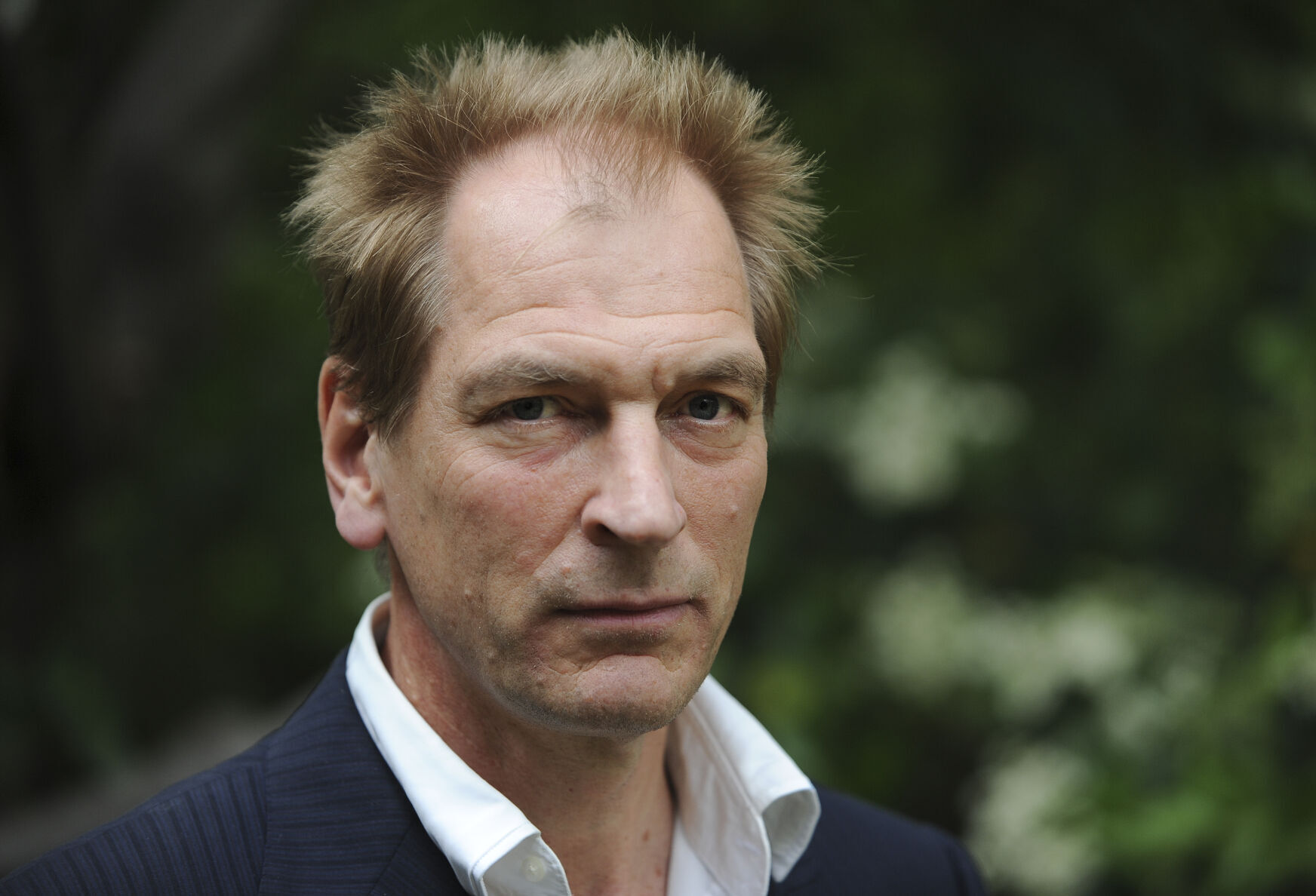 2013 : Julian Sands